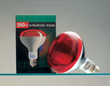 All Products - Gloeilamp Ir 250