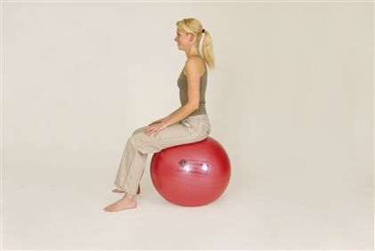 Sissel - Securemax exercise ball - zitbal - 65cm - rood