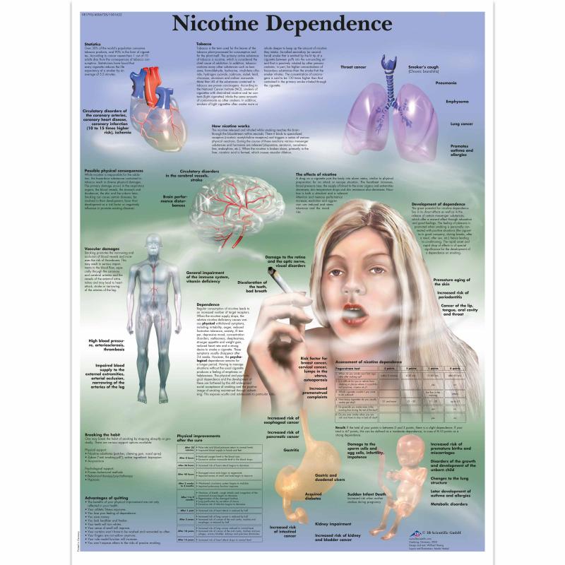All Products - Wandkaart: Nicotine Dependence